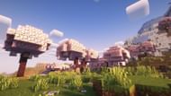 Cherry Grove is one of the most beautiful Overworld biome to live in Minecraft (Image via Mojang Studios)